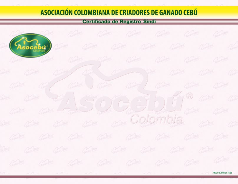 CertificadoregistroRedsindhi