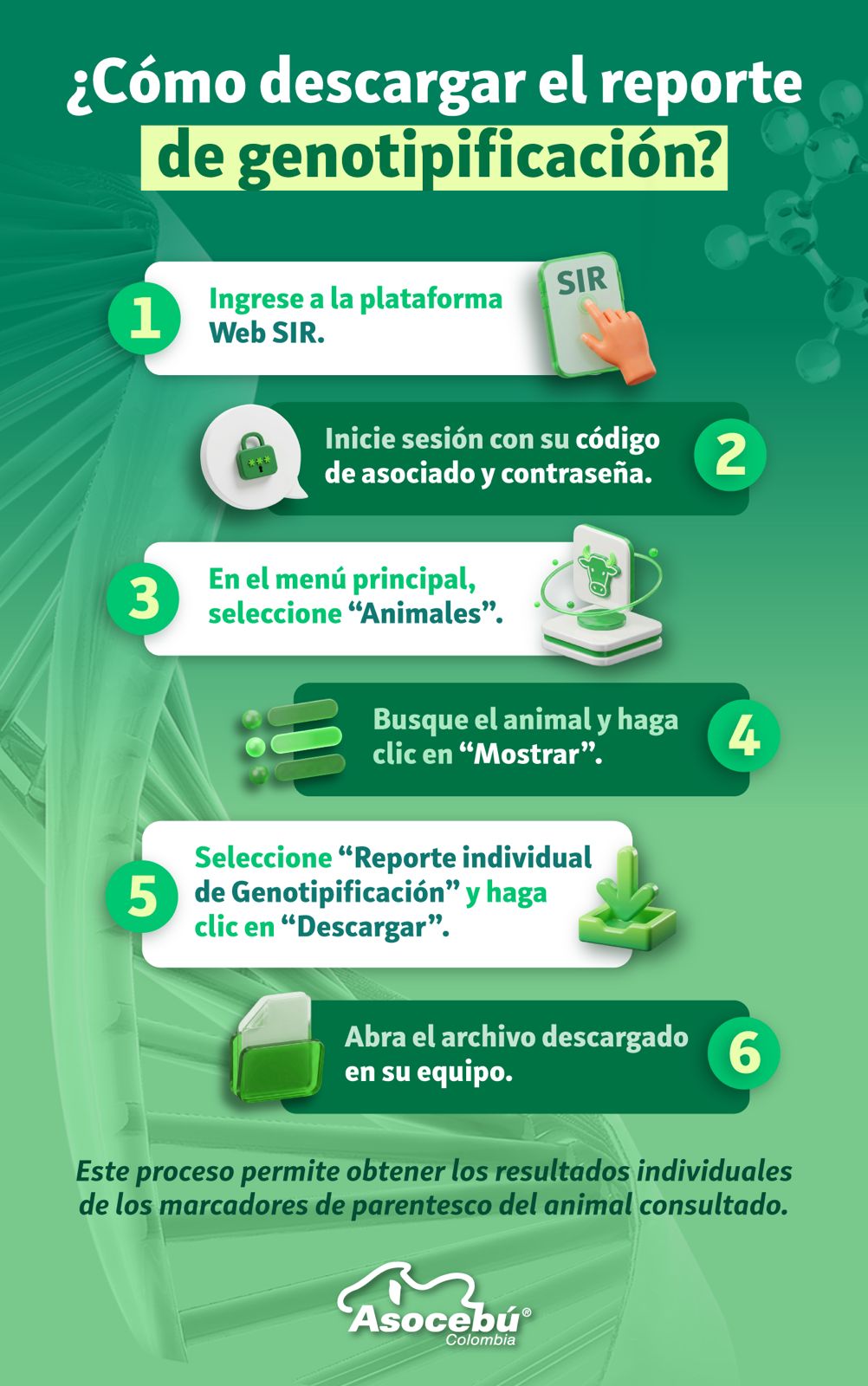 ASOCEBÚ reverso