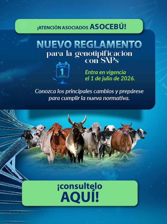 ASOCEBÚ reverso