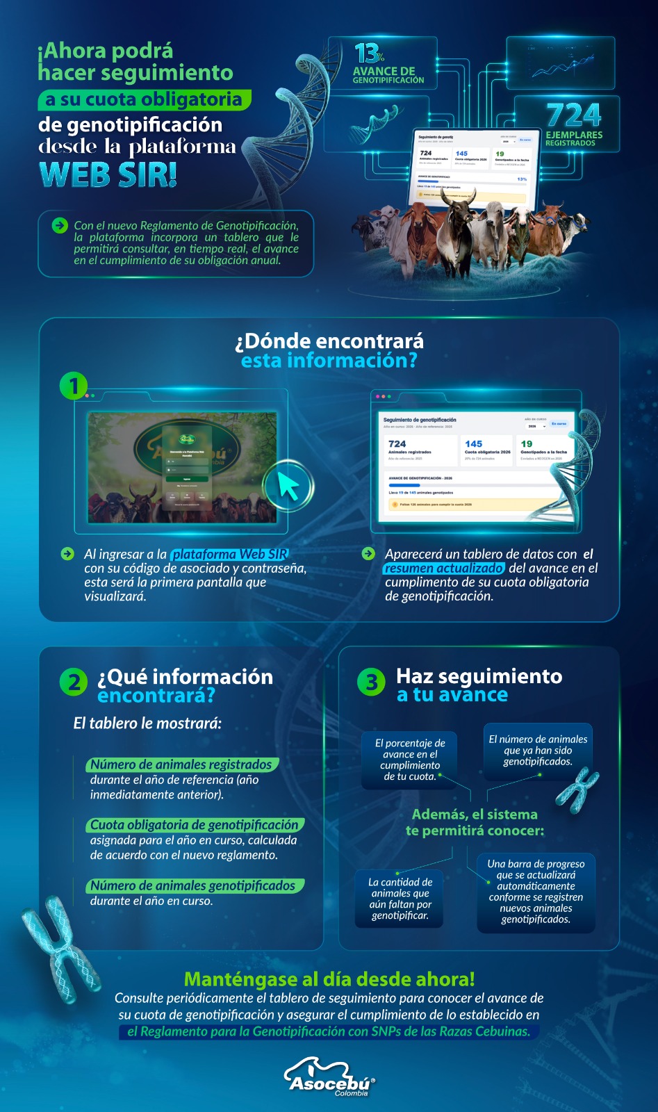 Aplicación de resultados genómicos en la selección de ganado Cebú.