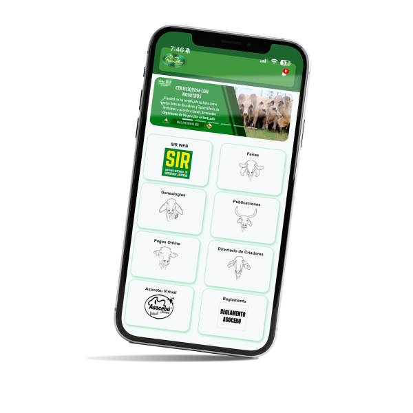 APP ASOCEBU